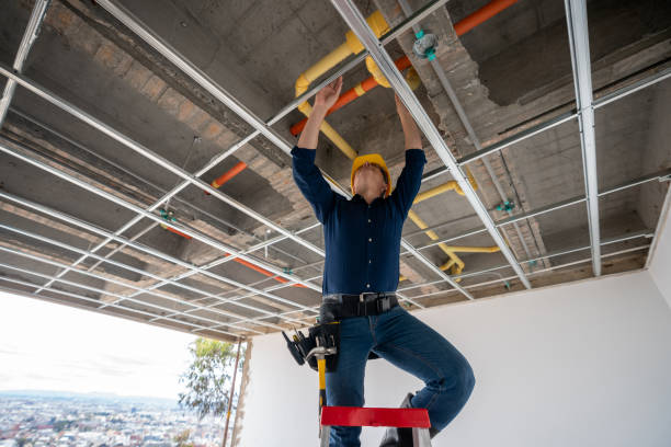 Best Same-Day Plumbing Service  in Clifton, TN
